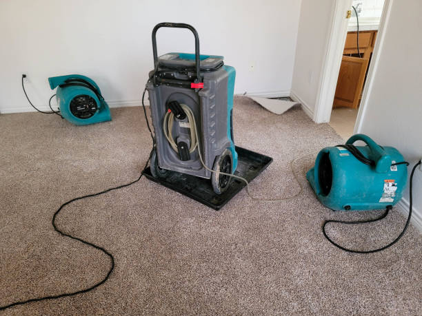 Best Water damage restoration process  in South River, NM