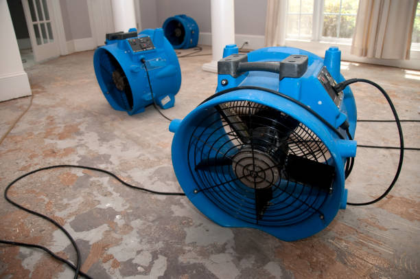 Best Water damage restoration near me  in South River, NM