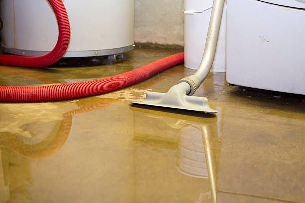 Best Carpet water damage restoration  in South River, NM