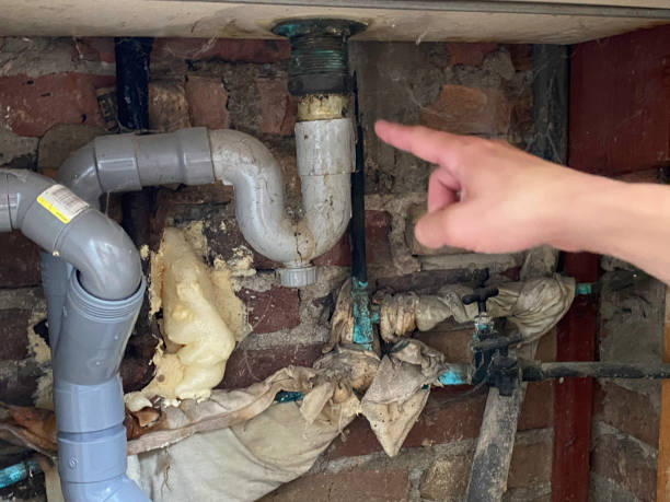 Best Sewage cleanup and water damage restoration  in South River, NM
